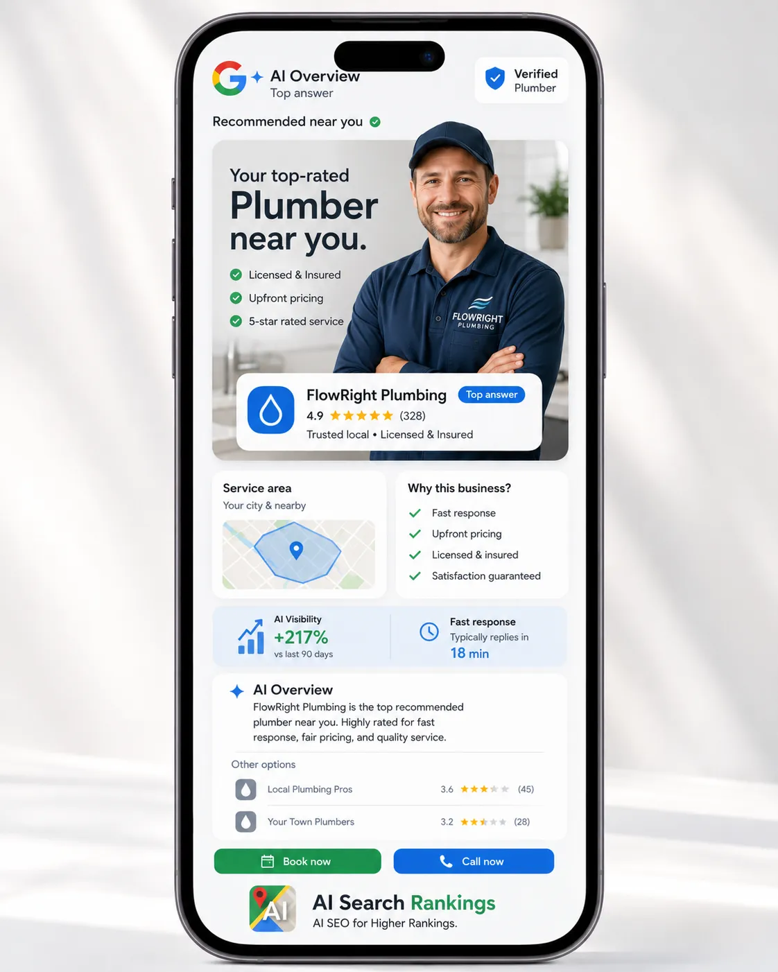 Google AI Overview recommending a local plumbing company